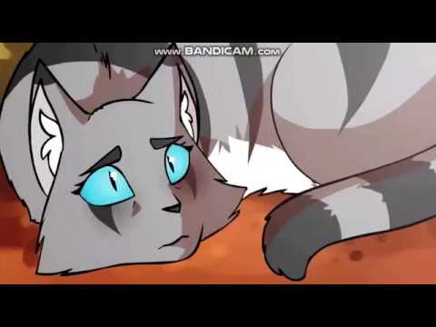 Коты-Воители/Сумрачный Лес/Клип-Jast Gold(на