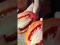 IN MICROSCOPEIC CAMERA ZOOM IN TOMATO 🍅 🍅//IN 40X MICRO SCOPE