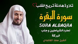Download Lagu الشيخ سعد الغامدي  سورة البقرة النسخة الأصلية    Sheikh Saad Al Ghamdi  Surat Al Baqarah MP3