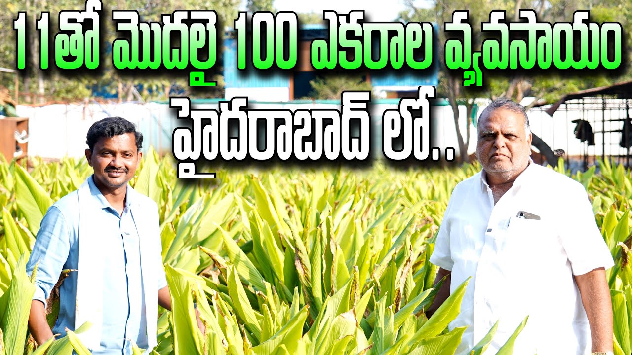 Hyderbadలో 100 ఎకరాల్లో రకరకాల పంటలు | Innovative Farming