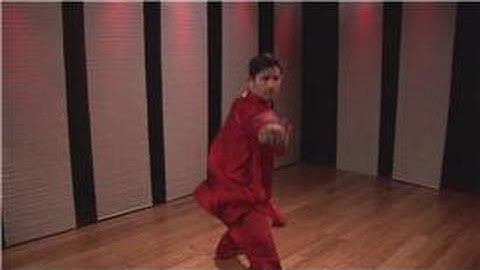 Kung Fu : Northern Style Palm Block, Side Punch & Tornado Kick Combo