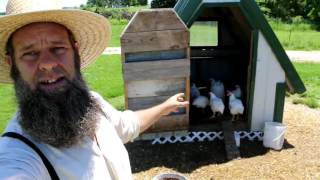 3 TRICKS TO RAISING CORNISH CHICKENS FOR MEAT