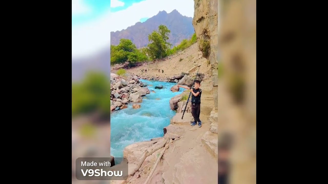 Тамшӯшиён аз архив 2000-2026