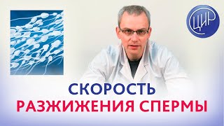 Скорость разжижения спермы. Что влияет на скорость разжижения спермы. Живулько А.Р.