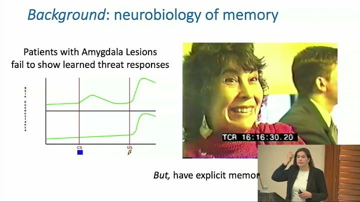 2023 - How the Cognitive Neuroscience of Learning can Inform Teaching Psychology, Elizabeth Phelps