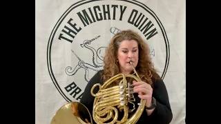 S.E. Shires SHR200-U Custom Geyer Double French Horn with Detachable Bell