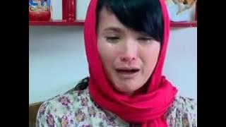 Denino - PDPJ eps 12 (Hans)