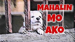 Paraan para Maipakita na Mahal Natin Sila | (Dog lover) by Doggyloverph 4,291 views 3 years ago 4 minutes, 45 seconds