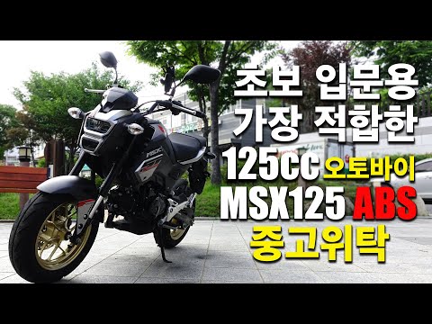 초보 입문용으로 가장 적합한 125cc 미니 오토바이 혼다 <strong>MSX125</strong> ABS [중고 오토바이]