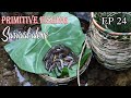 Thử thách sinh tồn trong rừng mưa một mình-EP.24 |Survival alone in the rainforest-Primitive fishing