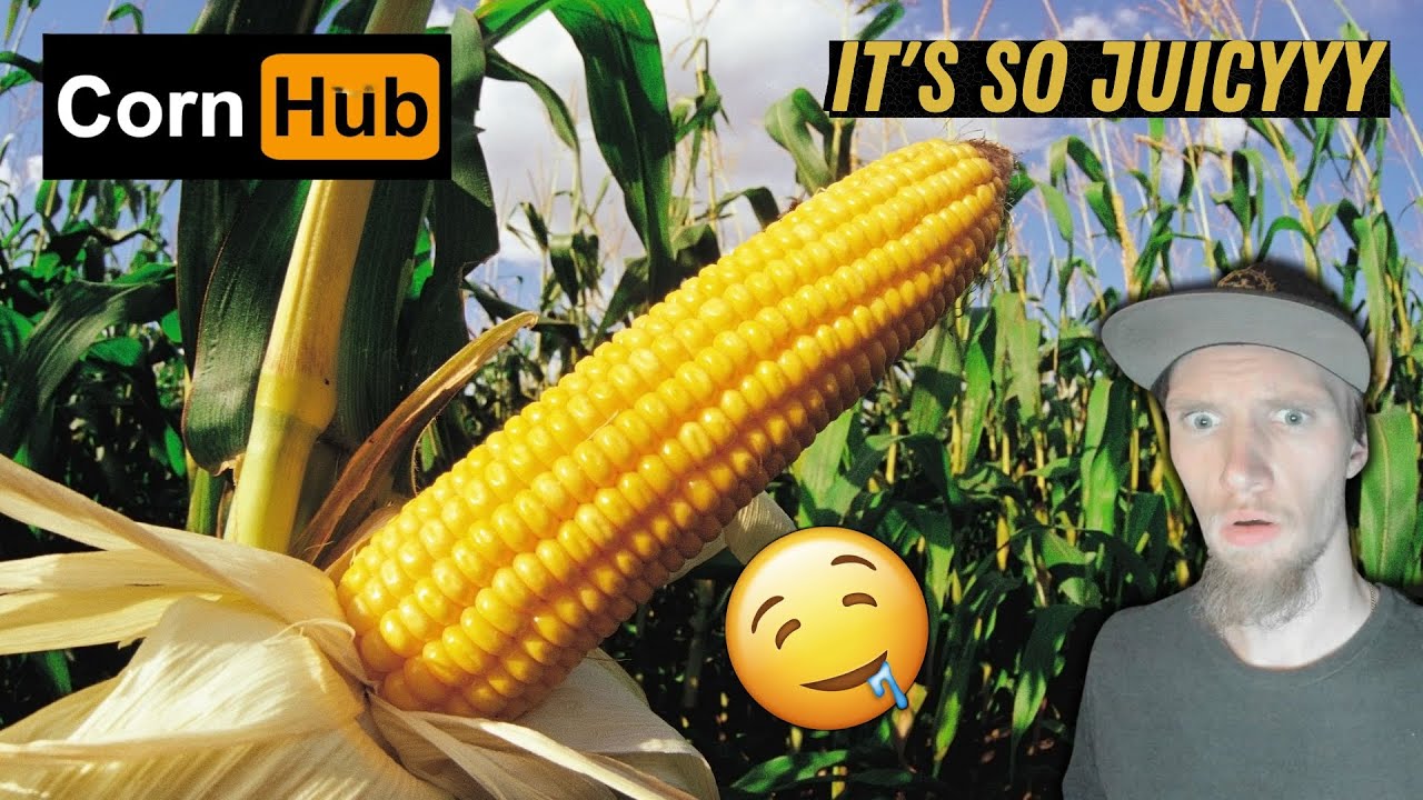 Corn Streaming REACTING TO CORNHUB - 100 SUB CORN EATING STREAM - YouTube
