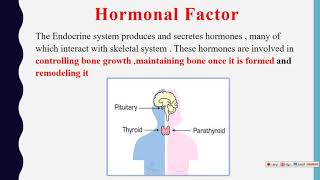 Factors affecting bone remodeling / Hormonal factor / part 3