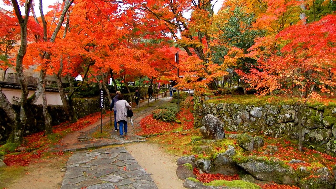 金剛輪寺の紅葉　湖東三山　Autumn leaves of Kongorinji temple in Shiga