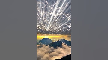 سورة الأعراف.#عمر_بن_ضياء_الدين #القرآن_الكريم #تلاوة_مميزة #ارح_قلبك #راحة_نفسية #اكسبلور #foryou