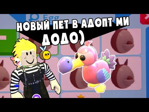 Новый петомец ДОДО в Роблокс Адопт Ми! Новости и обновления в Roblox Adopt Me Dodo