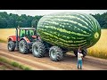 20 biggest fruits  vegetables ever recorded