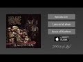 Miniature de la vidéo de la chanson Swallowing Decay