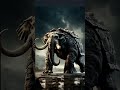 Elephant vs Tortoise: A Wild Encounter You Won’t Believe! 🐘🐢🔥