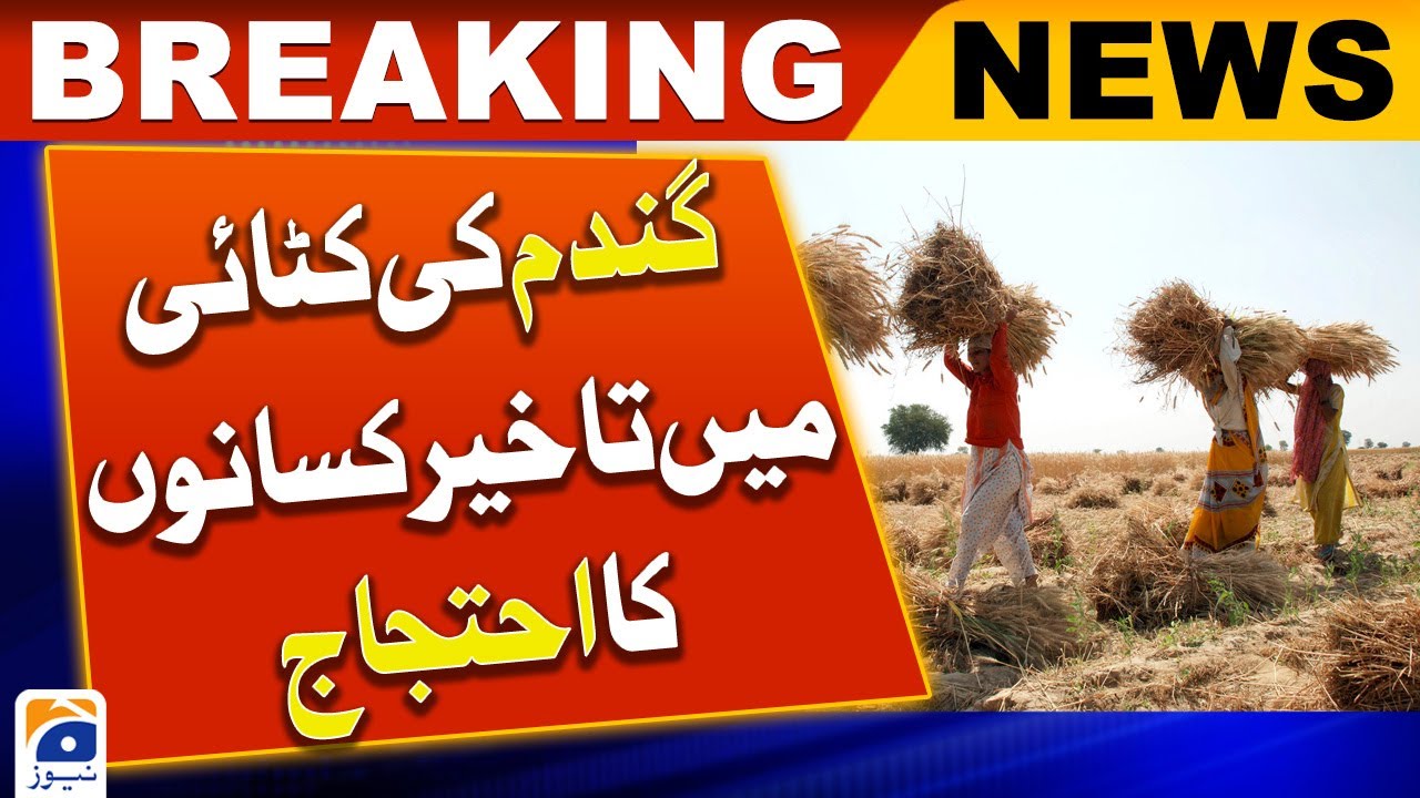 Wheat crisis - Farmers protest against the Punjab Govt - YouTube