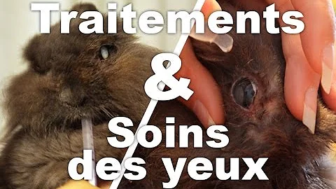 Pourquoi mon lapin à le tour des yeux rouge ?