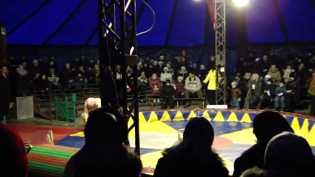 Цирк европа. Circus Europa 2009
