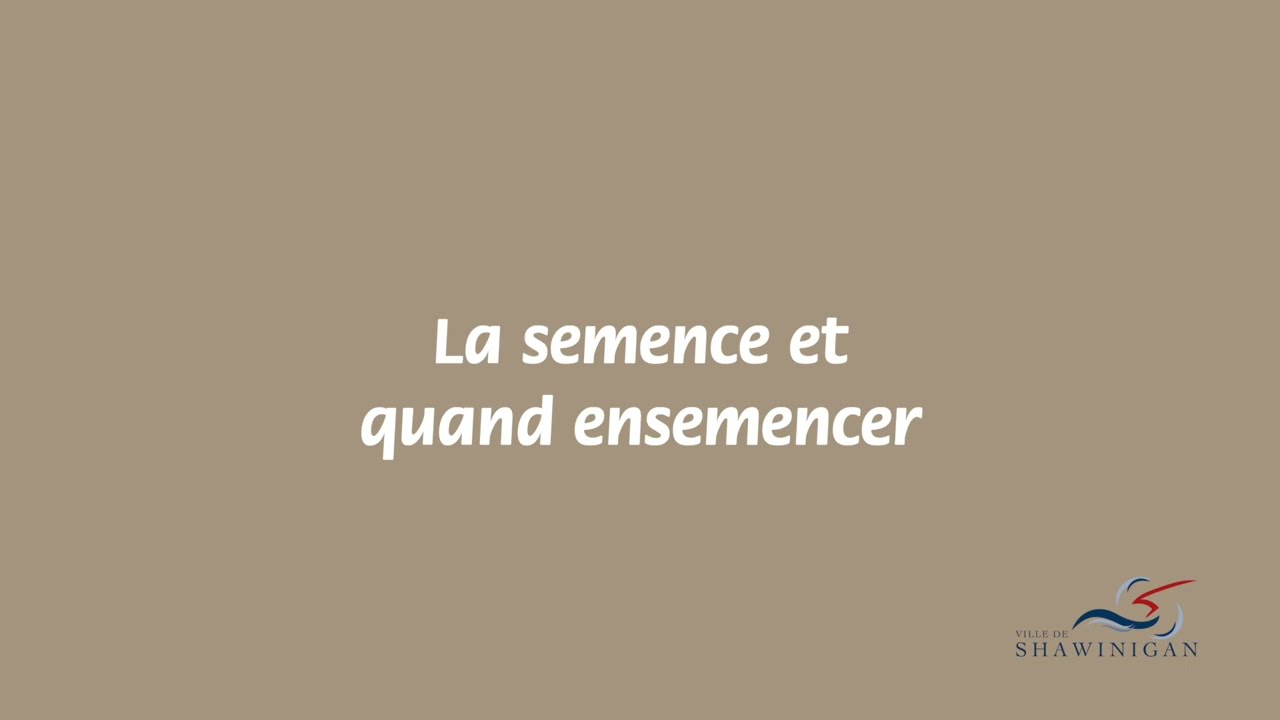 Entretien durable du gazon - Semence et quand ensemence