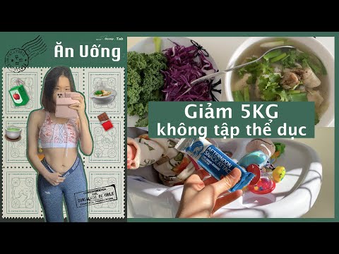 Video: Chế độ ăn Kiêng Sữa