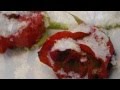 (HD 1080p) &quot;Frozen in Time&quot;,  Secret Garden