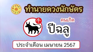 ทำนายดวงนักษัตร ดวงคนเกิดปีฉลู ประจำเดือน เมษายน 2567