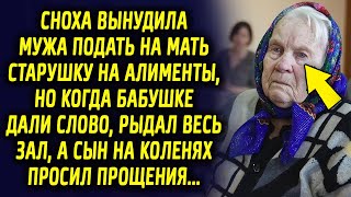 Сноха вынудила сына подать на старушку на алименты, но когда бабушке дали слово, опешил весь зал…