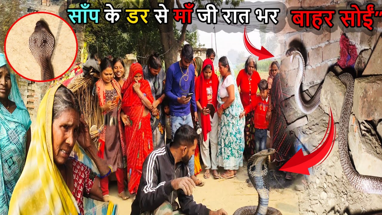 नाग-नागिन के डर से माता जी को मजबूरन रात भर घर के बाहर सोना पड़ा रेस्क्यू के बाद माता जी रो पड़ीं🥺 |