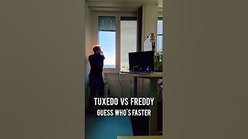 🐧 TUXEDO vs Freddy 👨🏼: Who is faster? 🤪 #linux #laptop #openSource #competition #fun