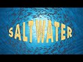 Saltwater  julian lennon  cover  sandeep kulkarni