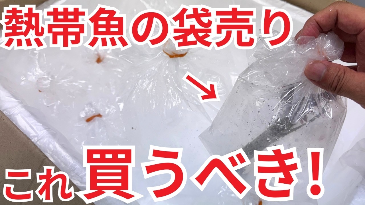 Don't miss this! The secret hidden in that bag at the tropical