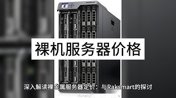 深入解读裸金属服务器定价：与Raksmart的探讨