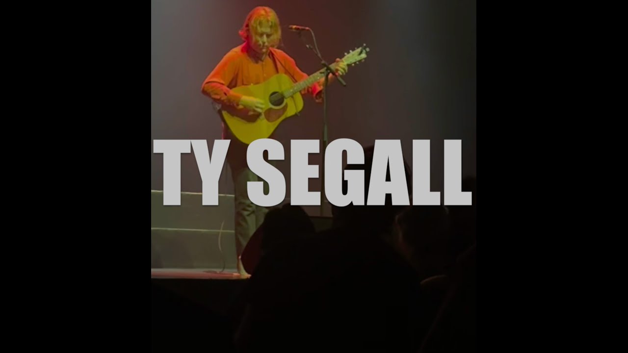 TY SEGALL: live in Amsterdam (August 2024, acoustic set)