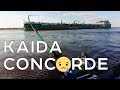 Kaida Concorde: бюджетник для троллинга