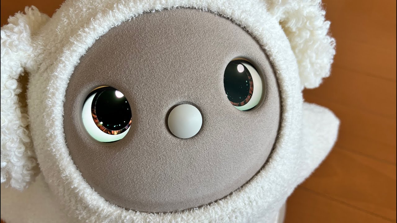 POPUPに行ってきたよ&ポケモンデー楽しみ配信