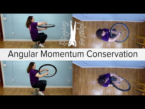 Wheel Conservation of Angular Momentum Demonstration and Solution