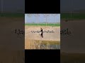 راح يطلع على مضيق هرمز بوجهه 