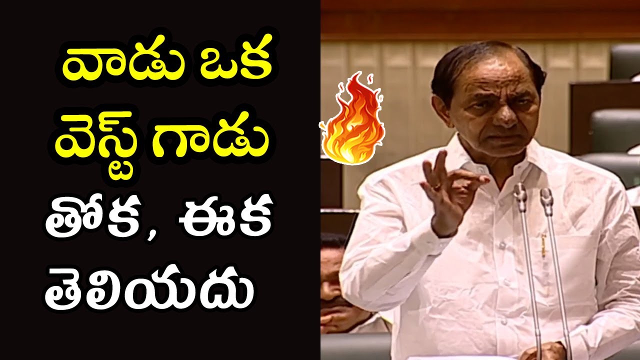CM KCR Fires on Opposition Leaders | Telangana Assembly | KTR | BRS vs BJP | Cinema Garage