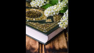 سورة الأنفال ورش القارئ محمد الكنتاوي