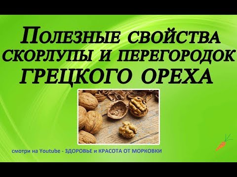 Удивительные свойства скорлупы грецкого ореха и способы ее применения