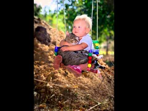 Funny Animals / Забавные животные / მხიარული ცხოველები