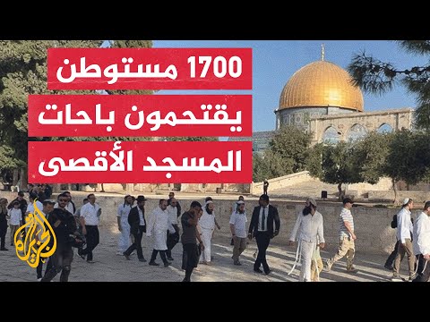 تحت حماية شرطة الاحتلال.. مستوطنون متطرفون يؤدون رقصات استفزازية وصلوات تلمودية