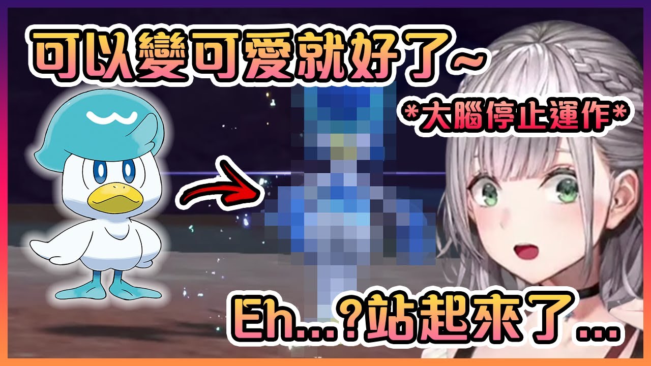 團長看到她的最愛的潤水鴨進化後被嚇到大腦當機了www【Hololive中文】【白銀諾艾爾】