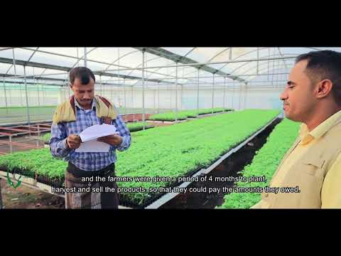 مشروع انتاج الخضروات 2023م محافظة الحديدة      2023