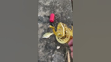 Đi câu cá, #fishing  #diy #kinhdoanh