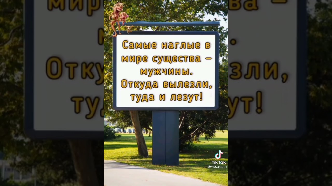 Прикольные фразы для поднятия настроения