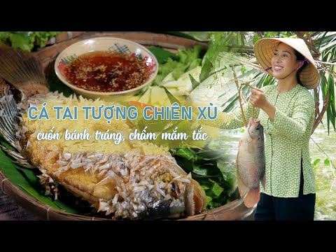 Cá tai tượng chiên xù, kèm nước mắm cực hấp dẫn - Khói Lam Chiều #136 | Deep-Fried Elephant Ear Fish